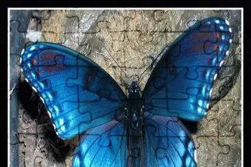 . jigsaw puzzle
