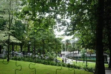 campo san francisco-oviedo