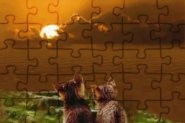 פאזל של puzzle