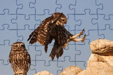 Mochuelo en vuelo jigsaw puzzle