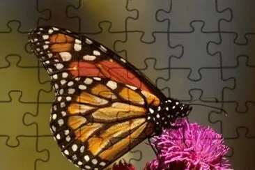 b jigsaw puzzle