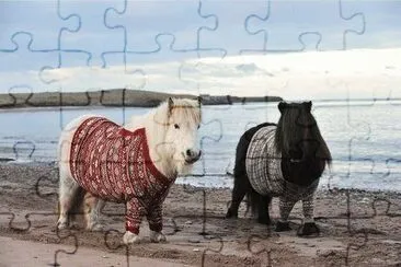 ... jigsaw puzzle