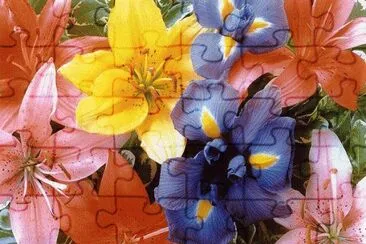 FLORES jigsaw puzzle