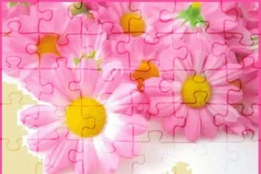 image jigsaw puzzle