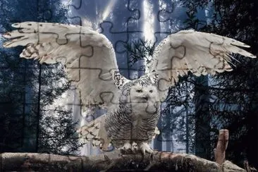 BUHOS jigsaw puzzle