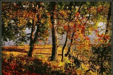 Paisagem