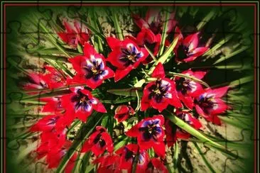 Paisagem jigsaw puzzle