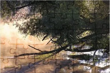 Natureza