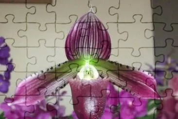 o jigsaw puzzle
