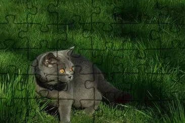 פאזל של a