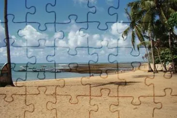 Praia do Forte jigsaw puzzle