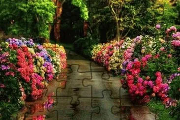 Imagenes jigsaw puzzle