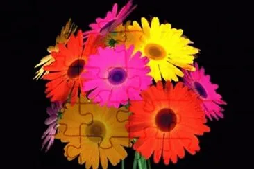 image jigsaw puzzle