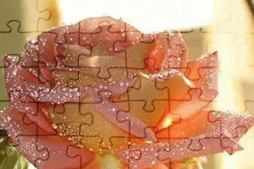 â™¥ jigsaw puzzle