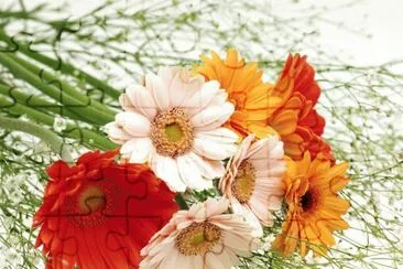 g jigsaw puzzle