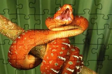 serpiente 1