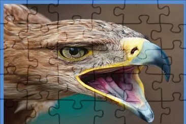 Ãguila Dorada jigsaw puzzle
