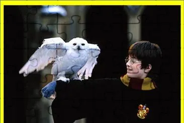 Harry Potter y su bÃºho nival jigsaw puzzle