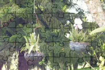 Jardin 9