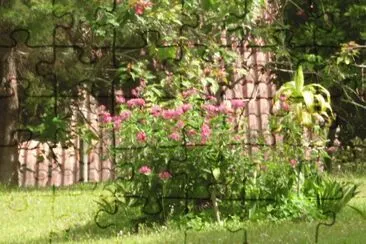 Jardin 12