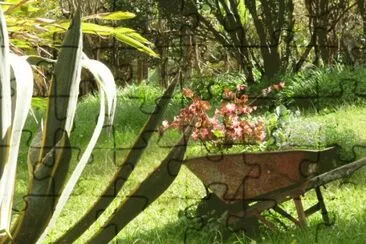 Jardin 18 jigsaw puzzle