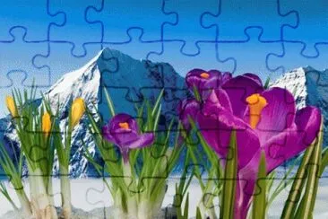 image jigsaw puzzle