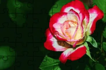 Imagenes jigsaw puzzle