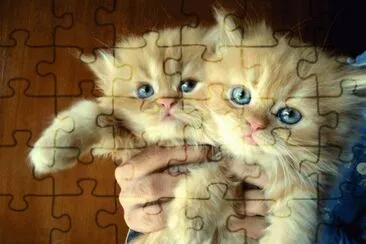 ... jigsaw puzzle