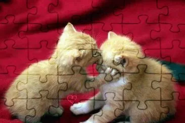 ... jigsaw puzzle