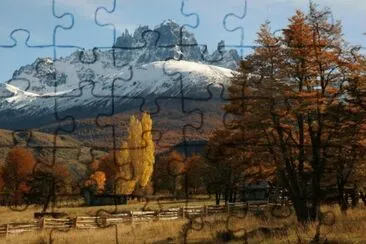 278 jigsaw puzzle