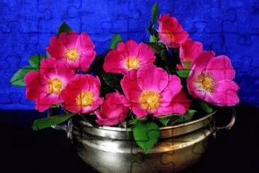image jigsaw puzzle