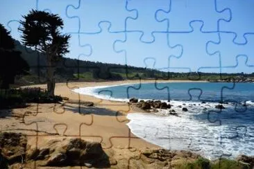 פאזל של Monastery Beach-Carmel