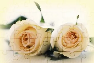 rosa beace jigsaw puzzle