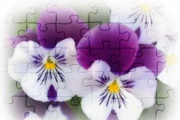פאזל של Pensamientos