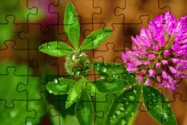 l jigsaw puzzle