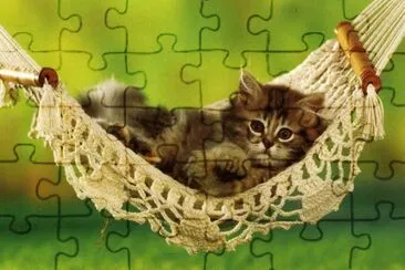 gatet jigsaw puzzle