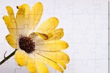foto jigsaw puzzle