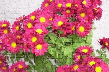 Crisantems jigsaw puzzle