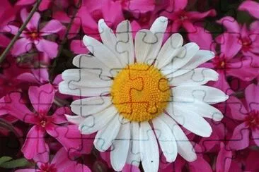 image jigsaw puzzle