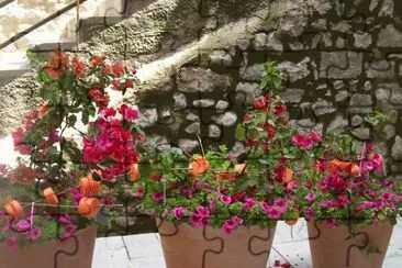 Temps de flors 2010 jigsaw puzzle