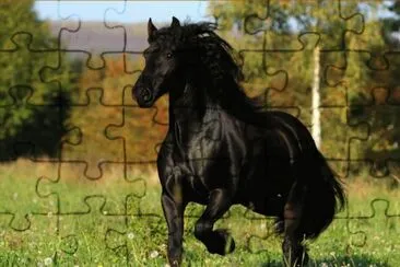 caballo jigsaw puzzle