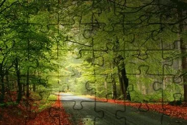 Estrada jigsaw puzzle
