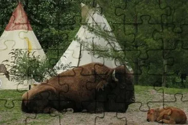 buffalo tribe jigsaw puzzle