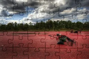 Jersey Devil Haunt jigsaw puzzle