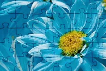 d jigsaw puzzle