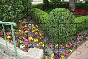 Flores