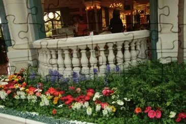 floresta