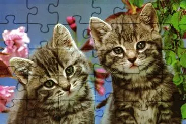 gatets jigsaw puzzle