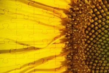 121 jigsaw puzzle