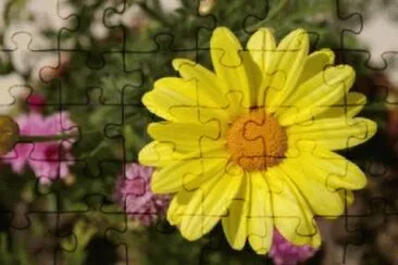 122 jigsaw puzzle